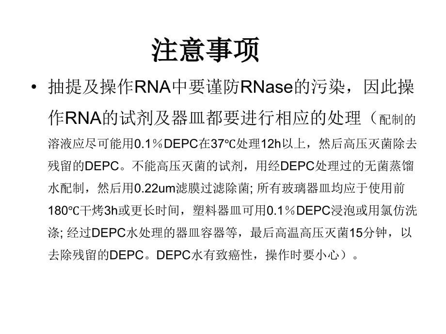 分子生物学实验课：RAN-胶回收（D）_第5页