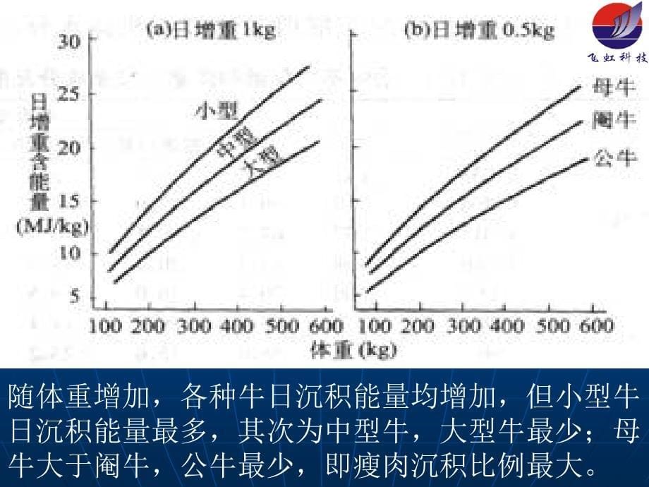 肉羊培训.ppt_第5页