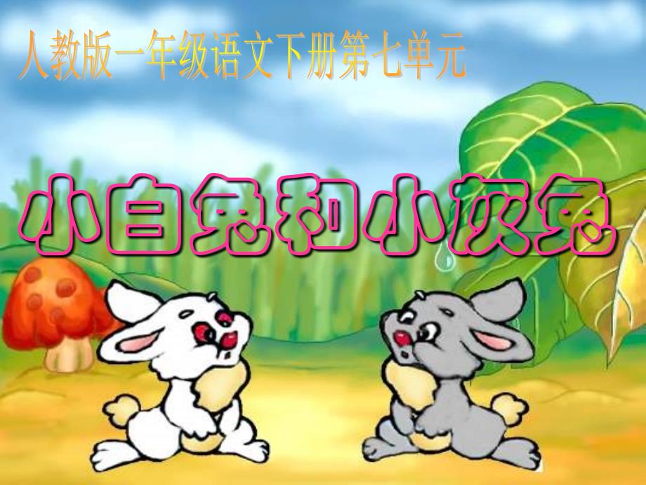 26、小白兔和小灰兔 5.24_第1页