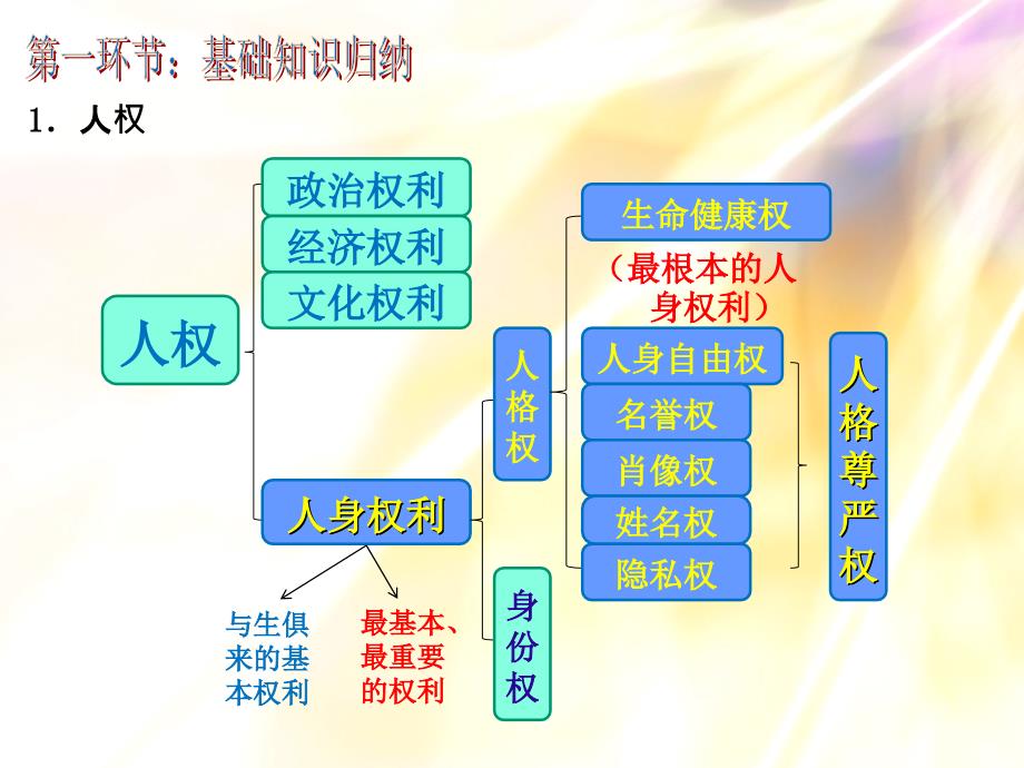 第二章我们的人身权利复习课件 (2)_第2页