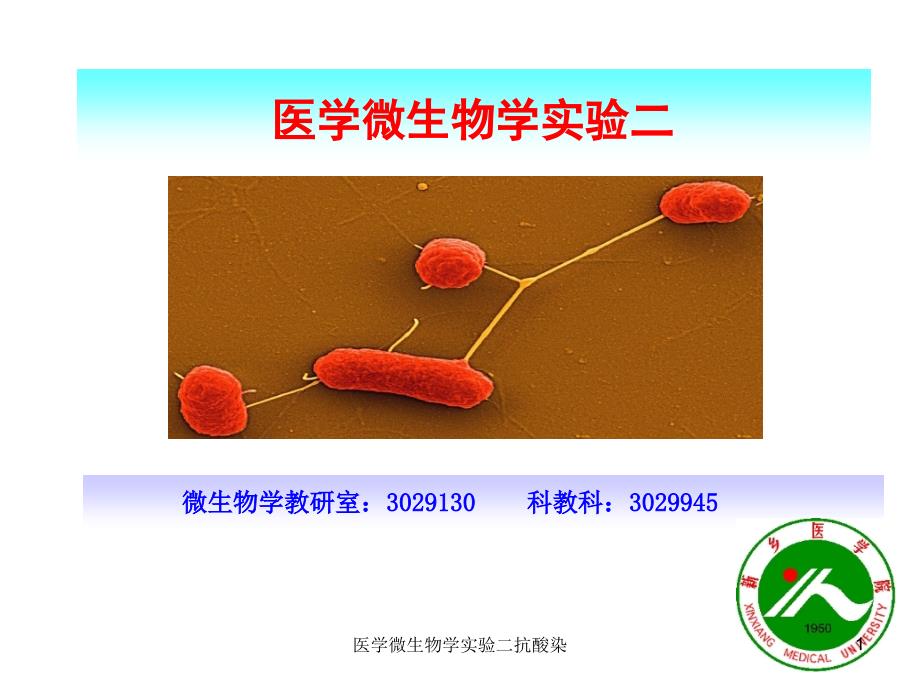 医学微生物学实验二抗酸染课件_第1页