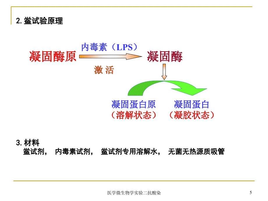 医学微生物学实验二抗酸染课件_第5页