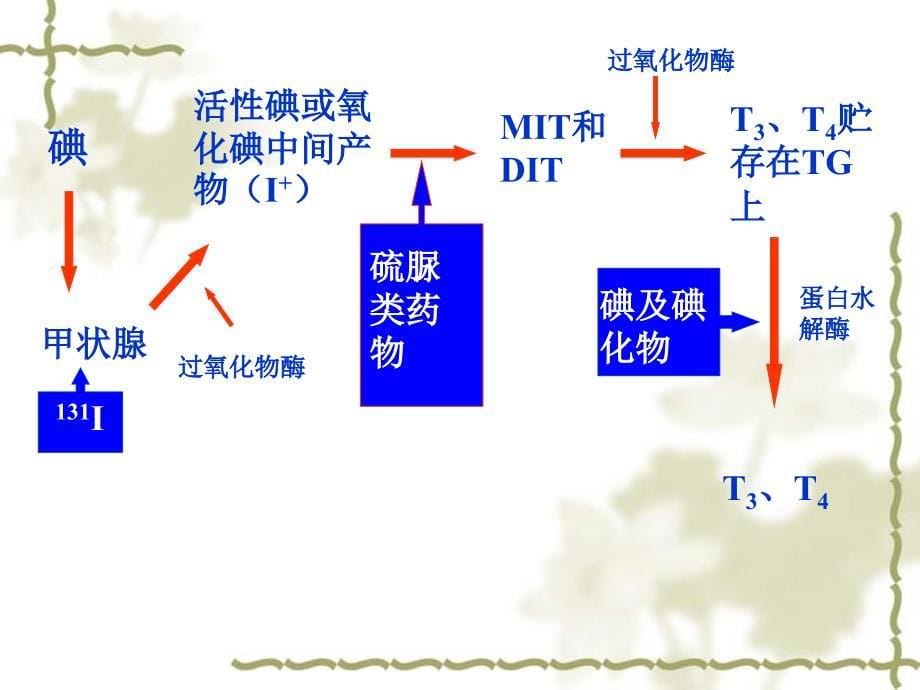 内科学课件甲亢ppt_第5页