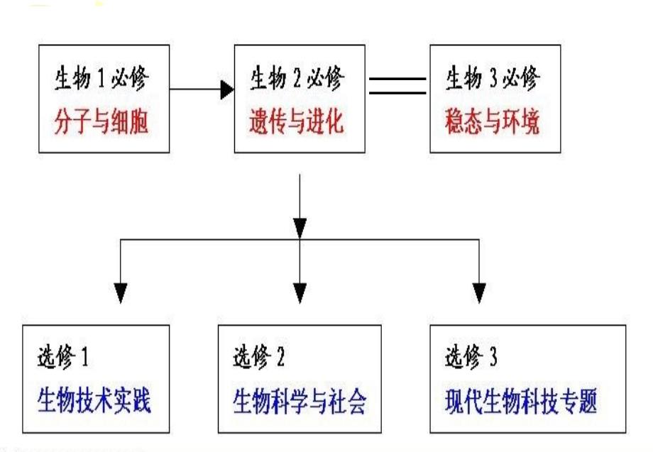 高中生物课标教材解析全_第4页