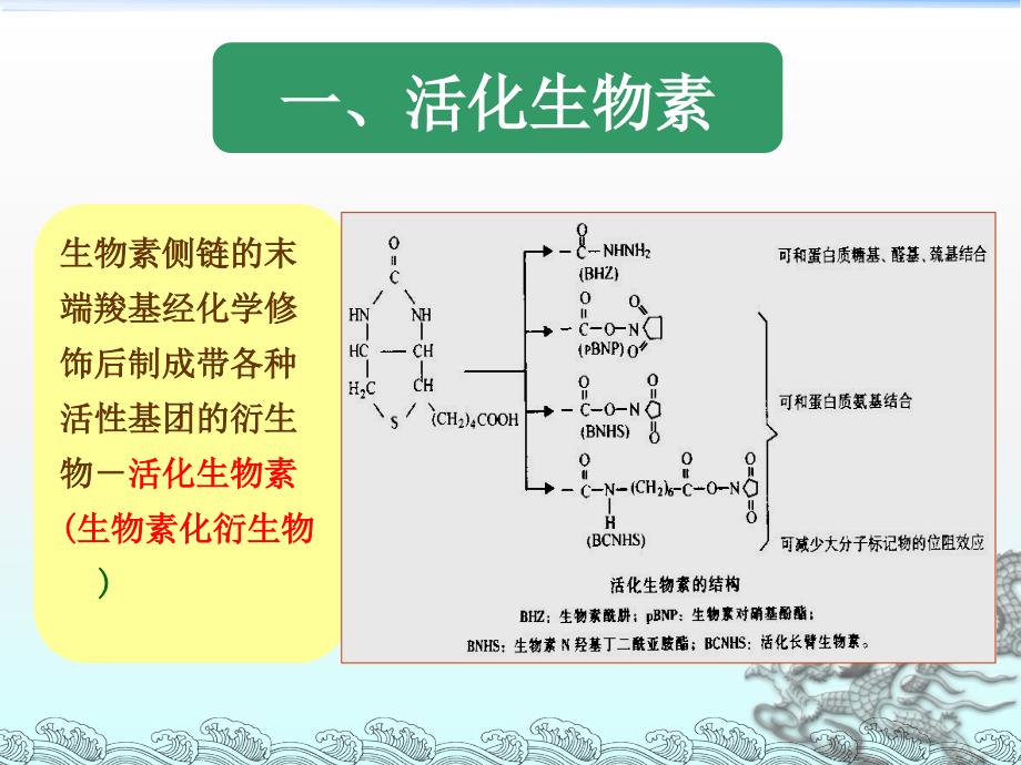 第11章生物素亲合素放大技术_第3页