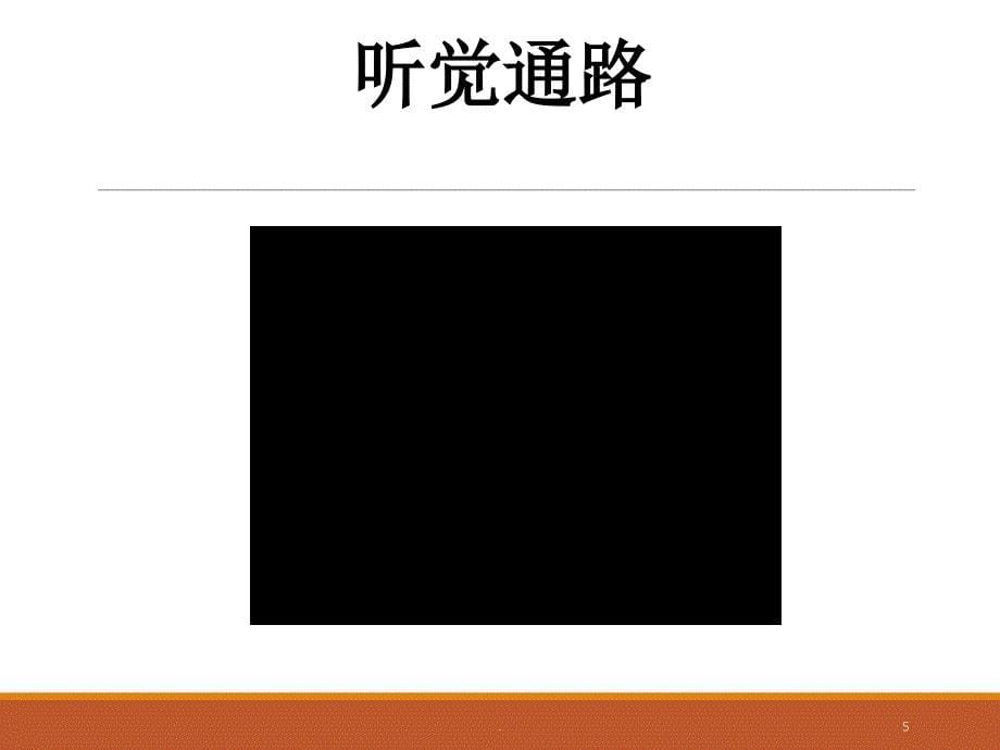 儿童听力障碍常见原因优秀课件_第5页