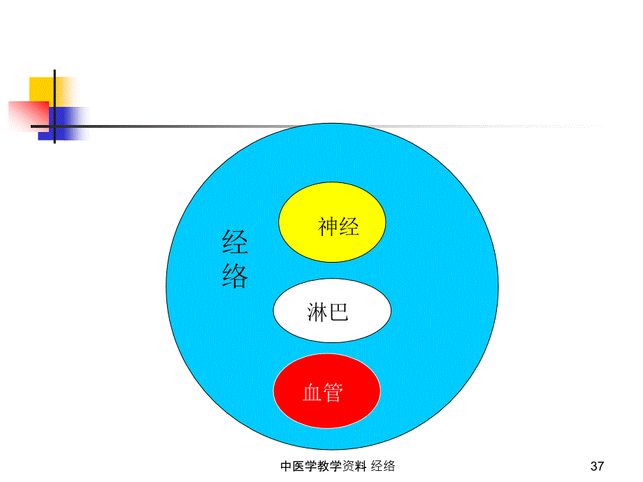 中医学教学-经络课件_第4页