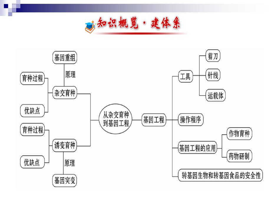 杂交育种到基因工程_第3页