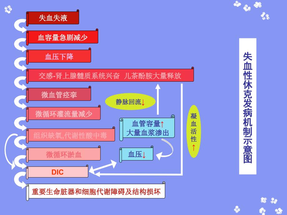 失血性休克及抢救文档资料_第4页