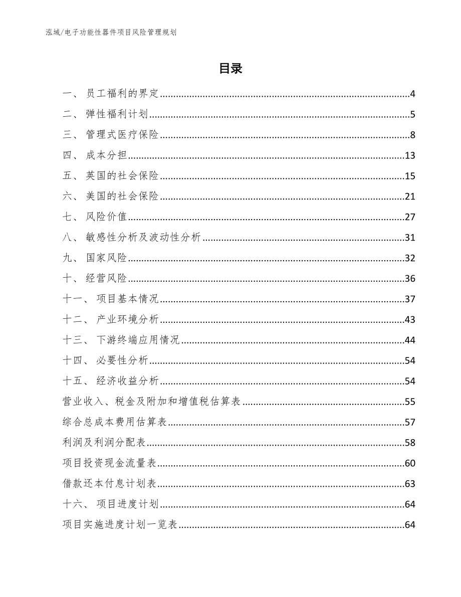 电子功能性器件项目风险管理规划_第2页