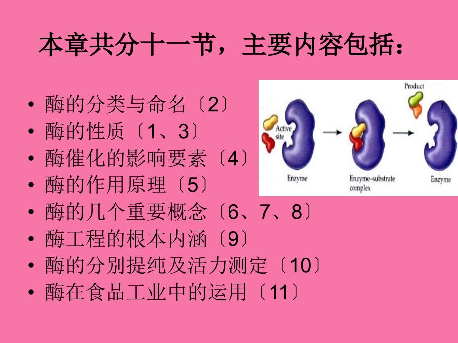 第五部分酶主讲人曹劲松教学ppt课件_第2页