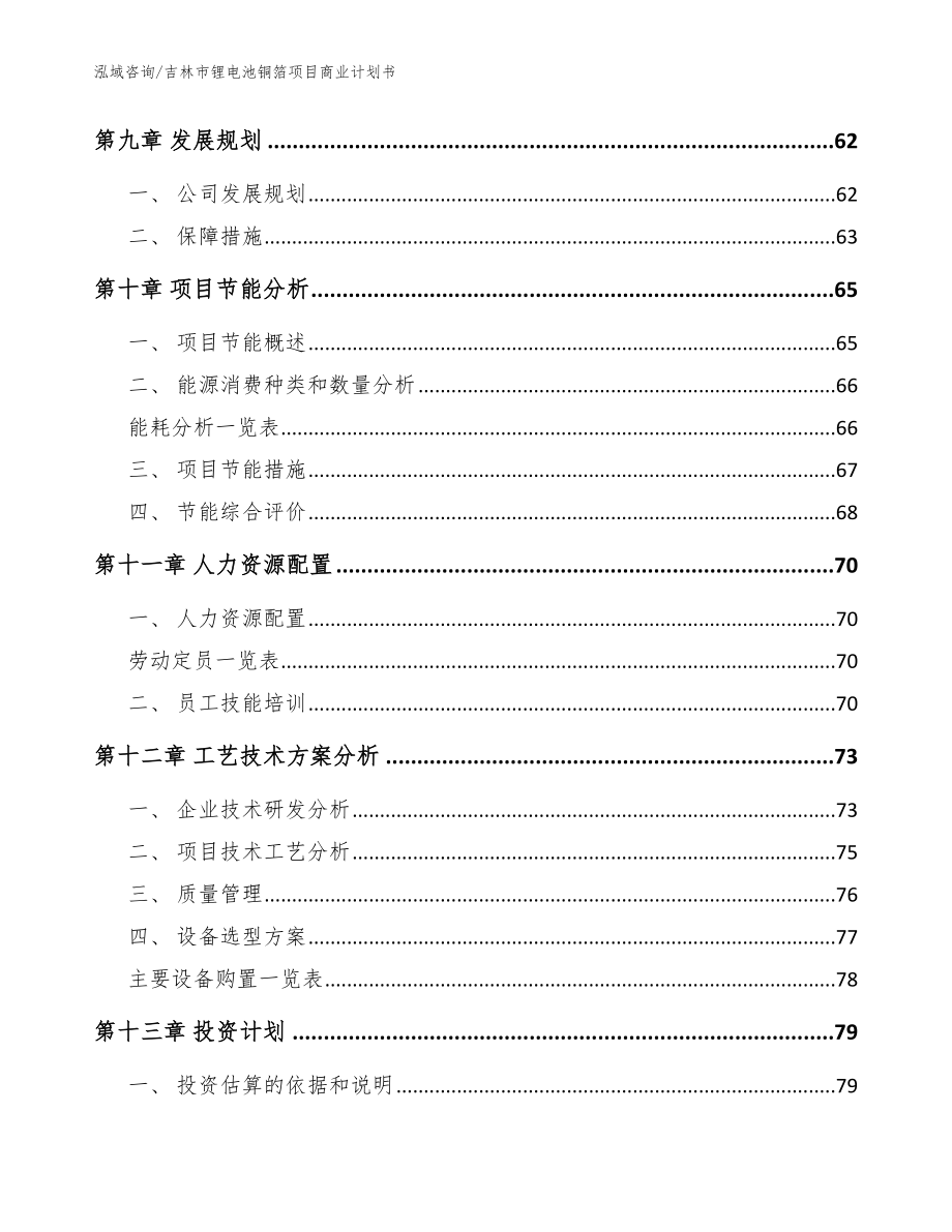 吉林市锂电池铜箔项目商业计划书【范文】_第3页