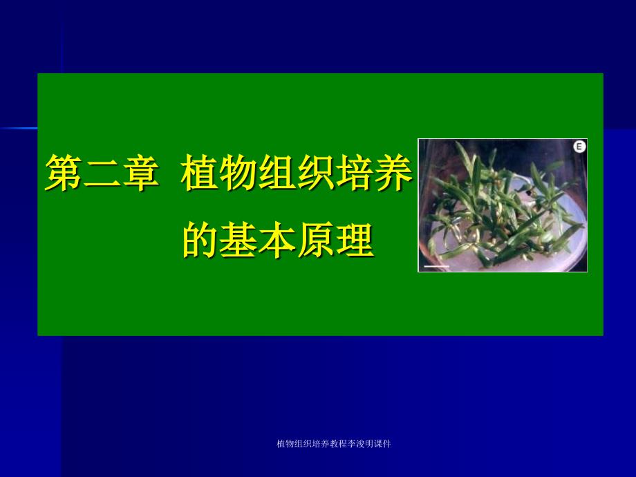 植物组织培养教程李浚明课件_第1页