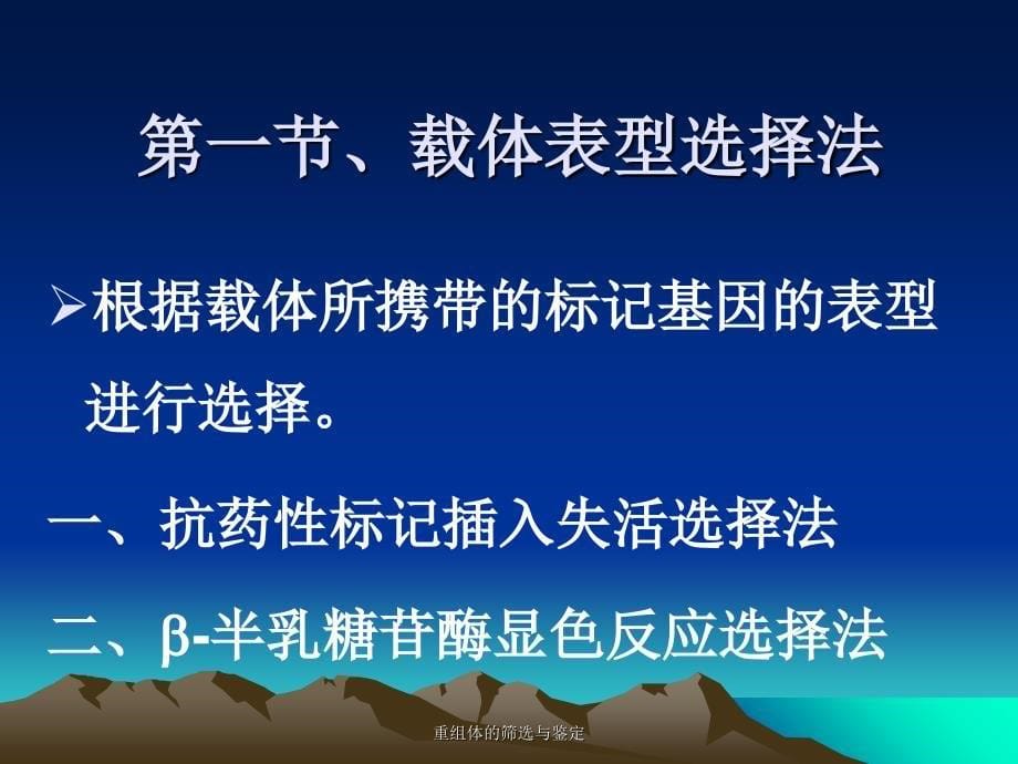 重组体的筛选与鉴定课件_第5页