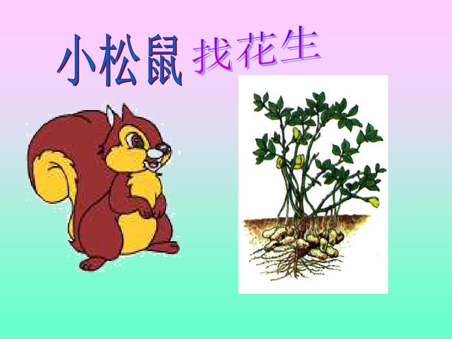 一年级语文上册《小松鼠找花生》_第1页