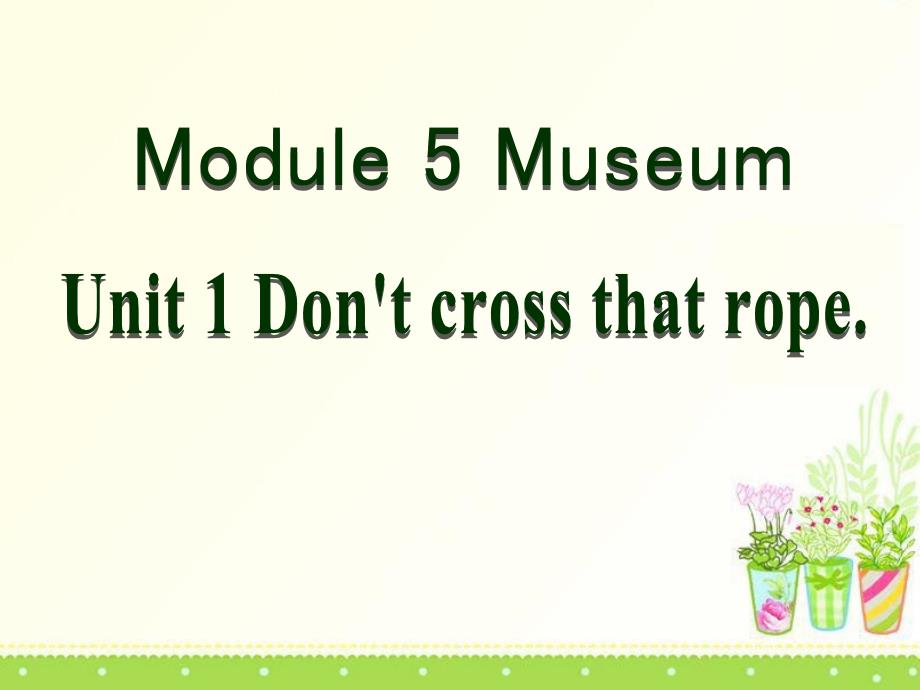 DontcrossthatropeMuseumsPPT课件_第1页