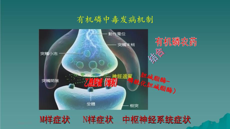 急性有机磷农药中毒及其并发症救治进展2_第4页