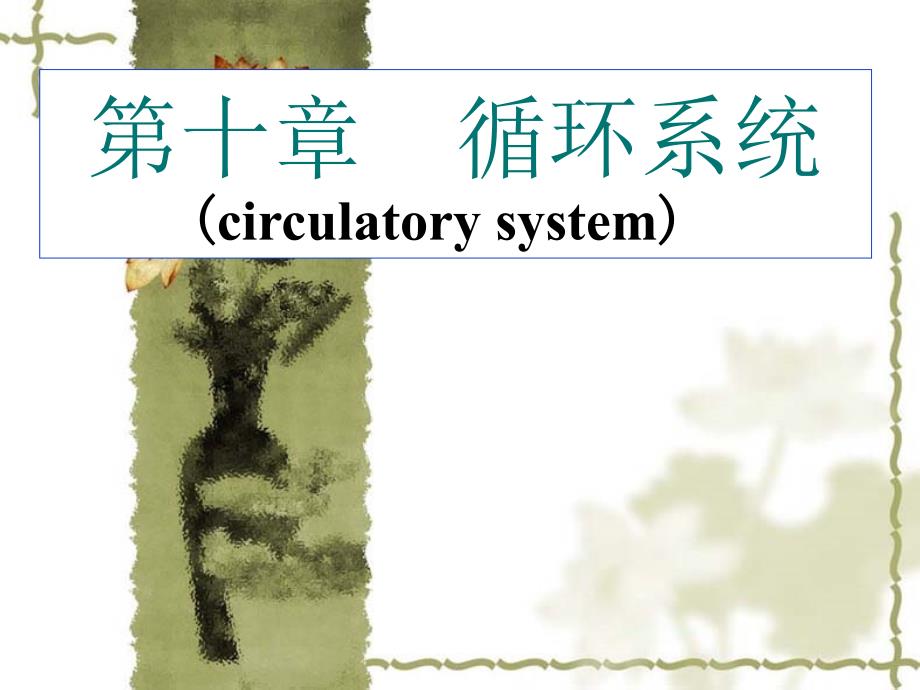 组织学与胚胎学：第10章 循环系统_第1页
