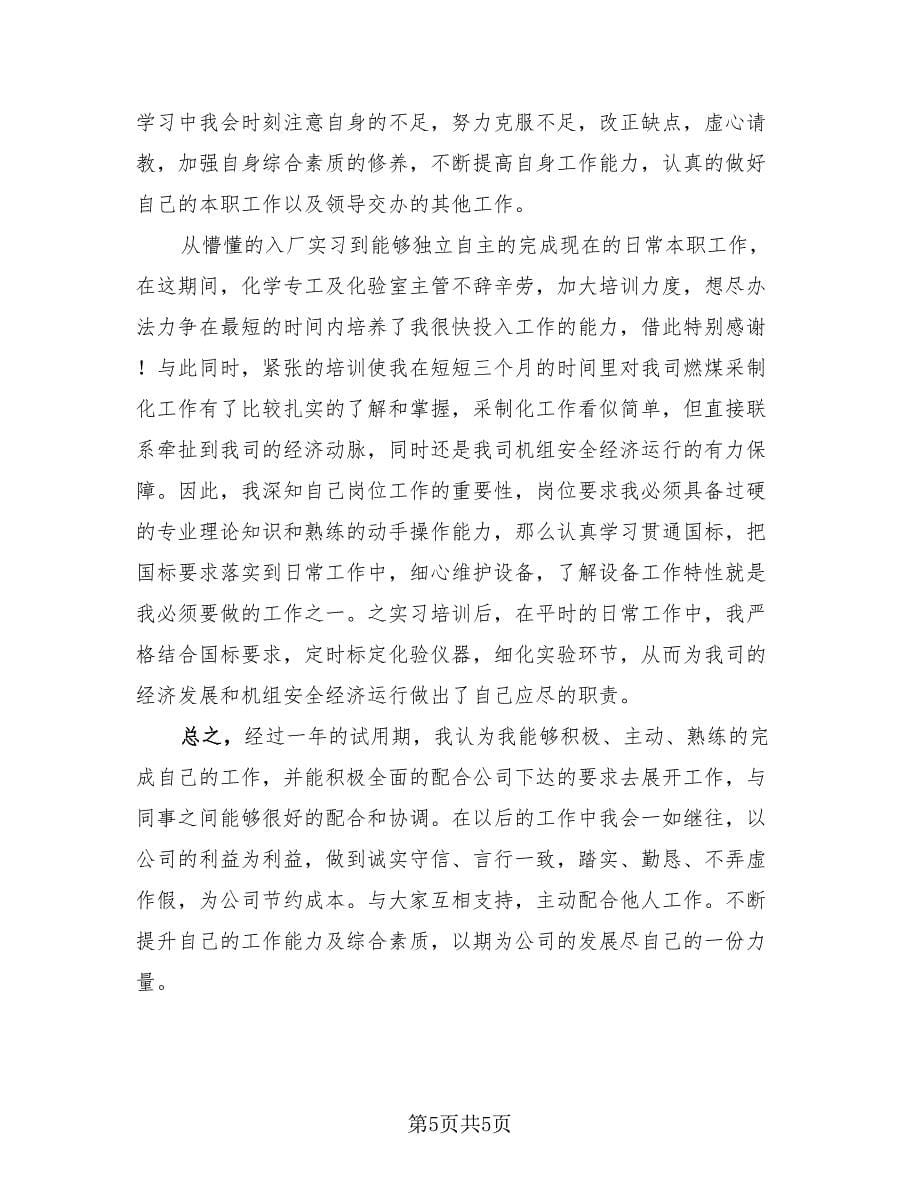 2023年试用期转正工作总结标准范文（三篇）.doc_第5页