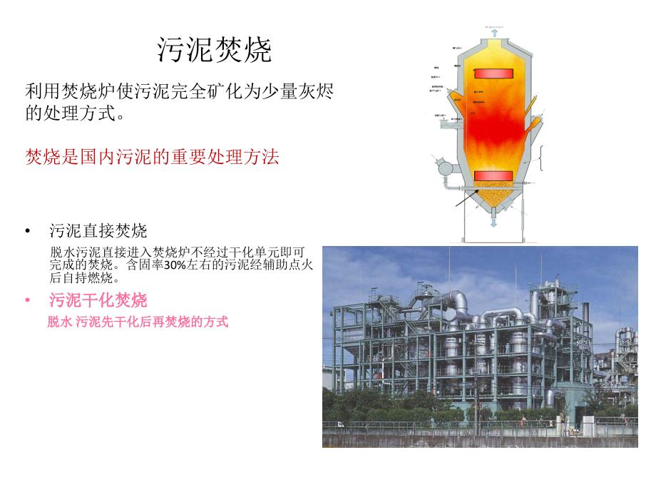 城市水厂湿污泥循环流化床一体化焚烧技术研究与示范_第2页