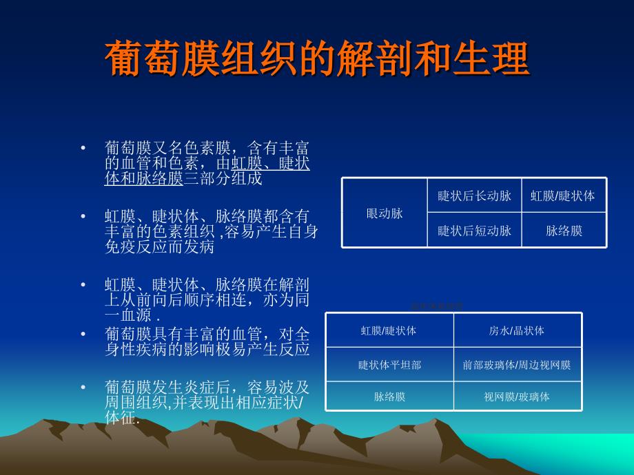 葡萄膜炎第八版课件ppt_第3页