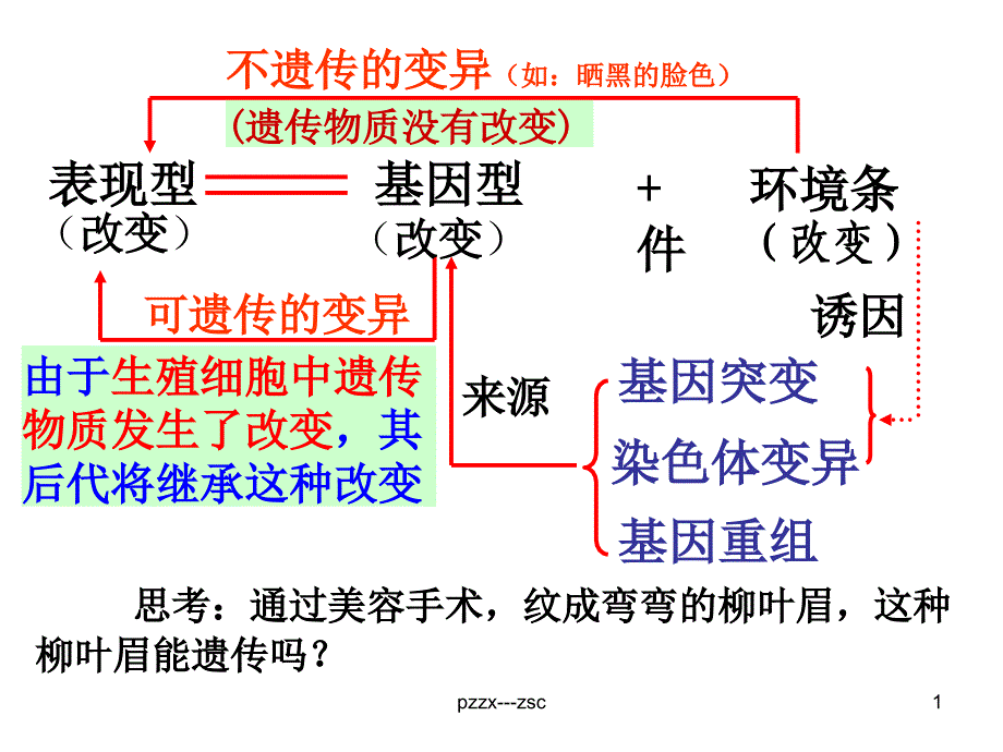 基因突变和基因重组zsc_第1页