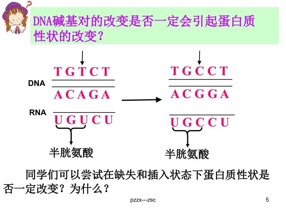 基因突变和基因重组zsc_第5页