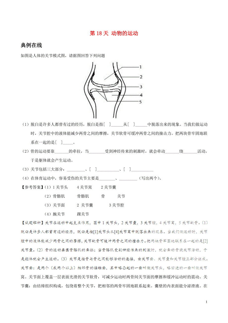 2017八年级生物暑假作业 第18天 动物的运动 新人教版_第1页