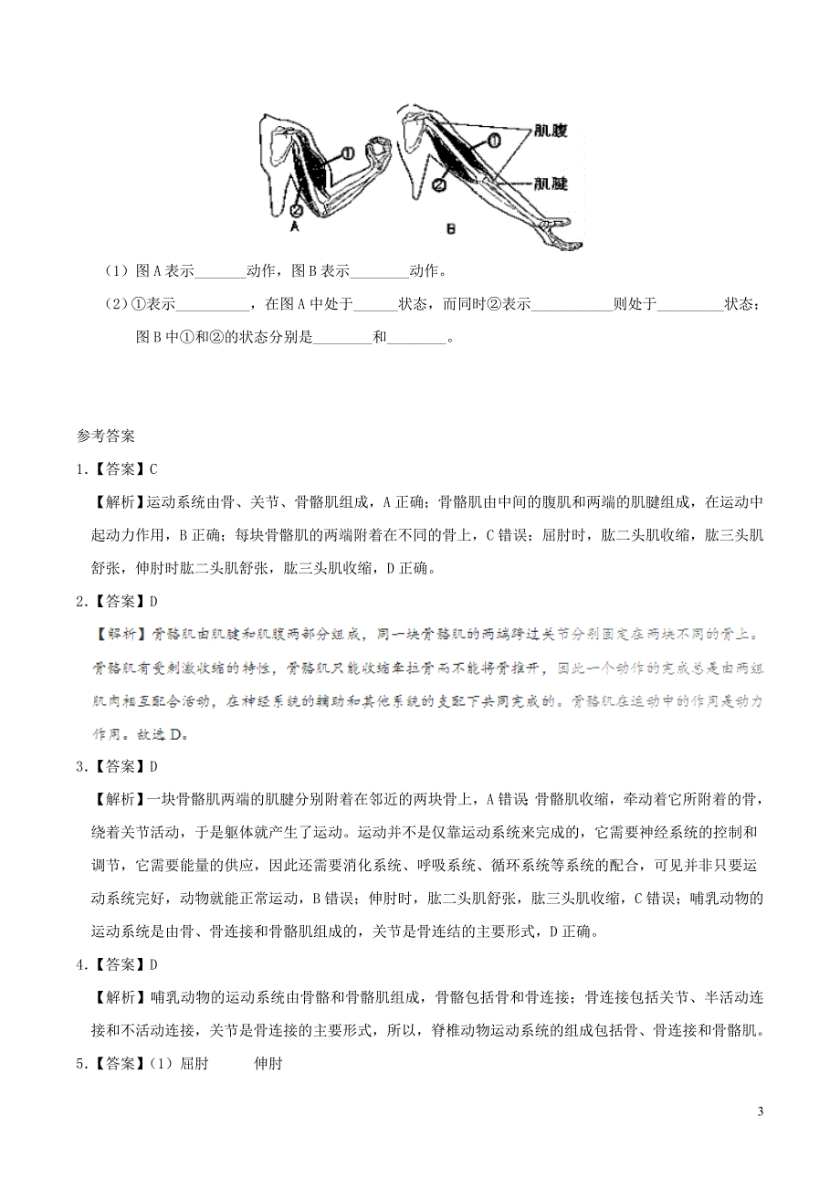 2017八年级生物暑假作业 第18天 动物的运动 新人教版_第3页