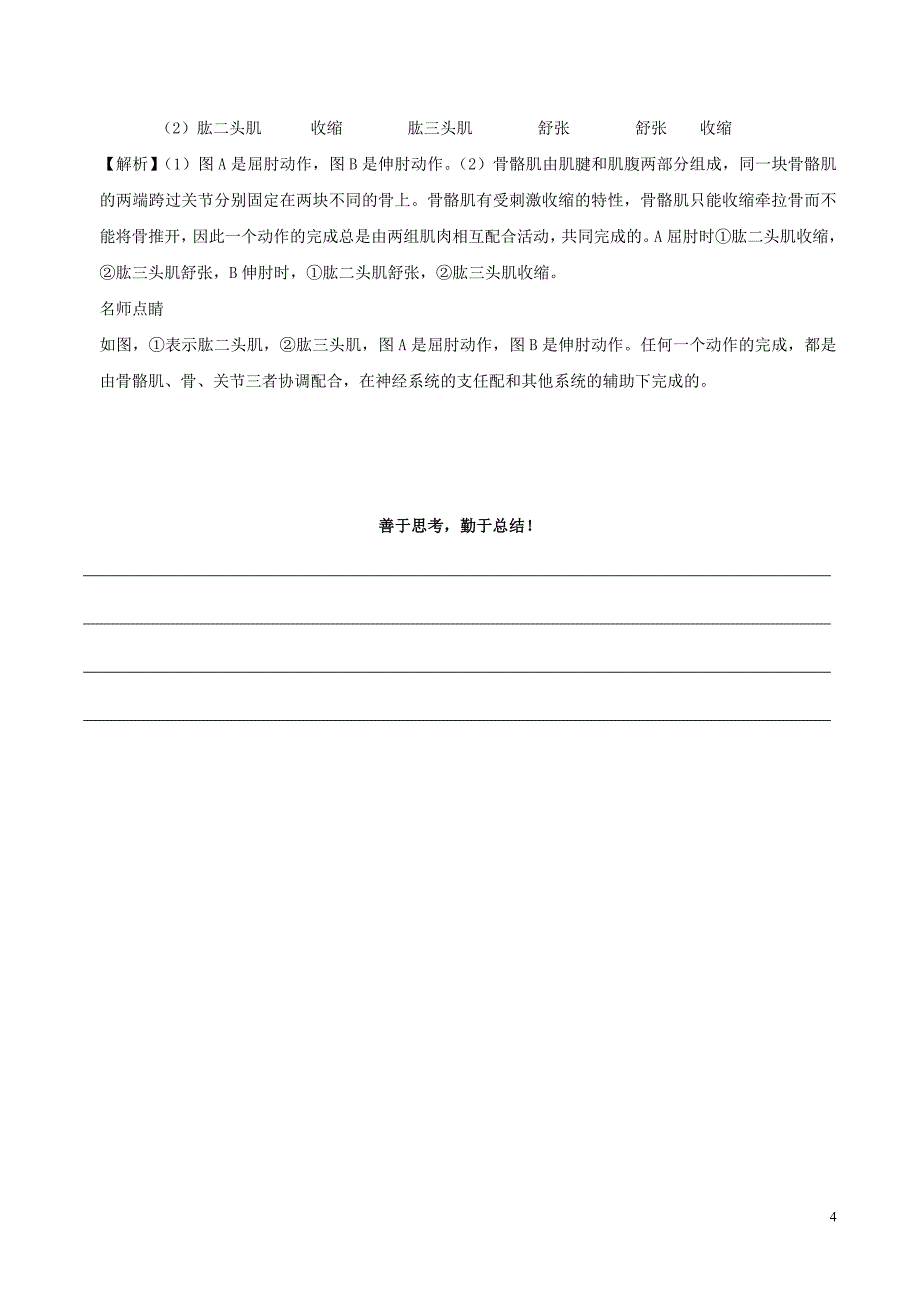 2017八年级生物暑假作业 第18天 动物的运动 新人教版_第4页