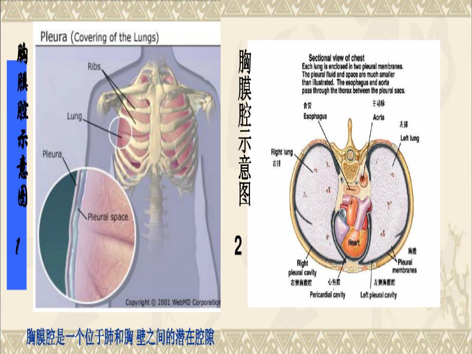 胸腔闭式引流的护理图文_第3页