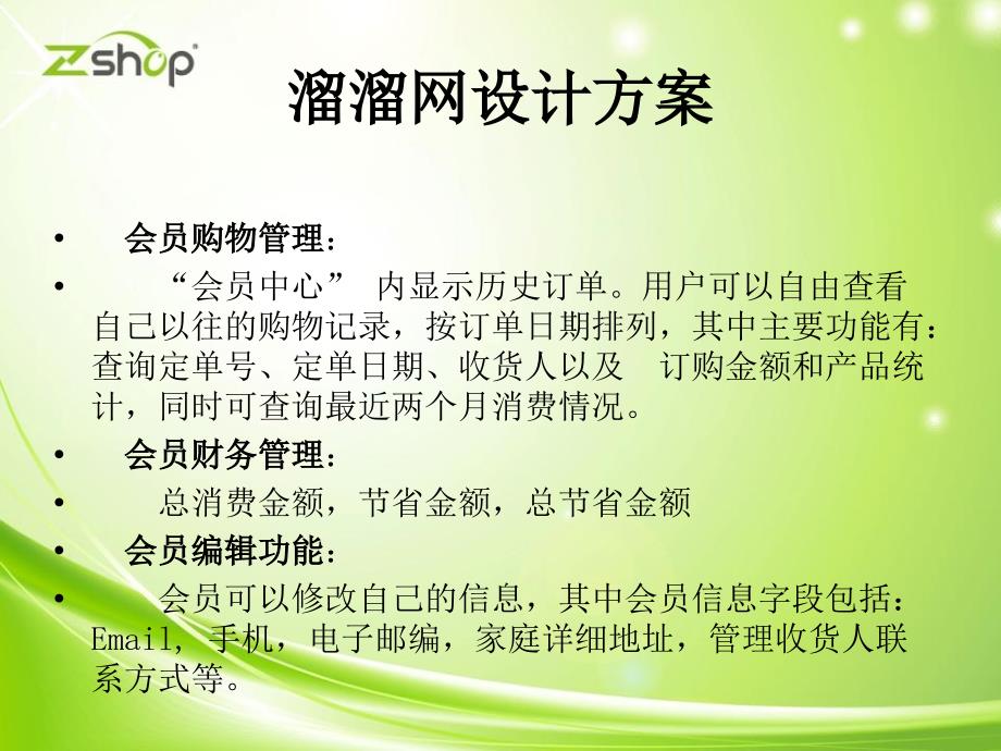 溜溜网策划方案PPT_第4页