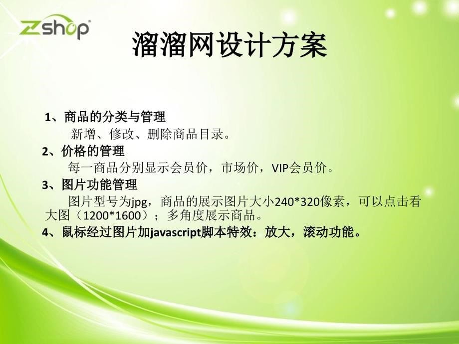 溜溜网策划方案PPT_第5页