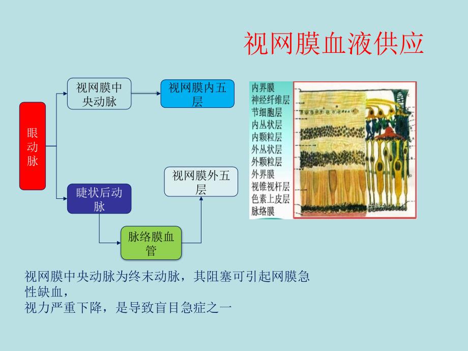 视网膜中央动脉阻塞2_第3页