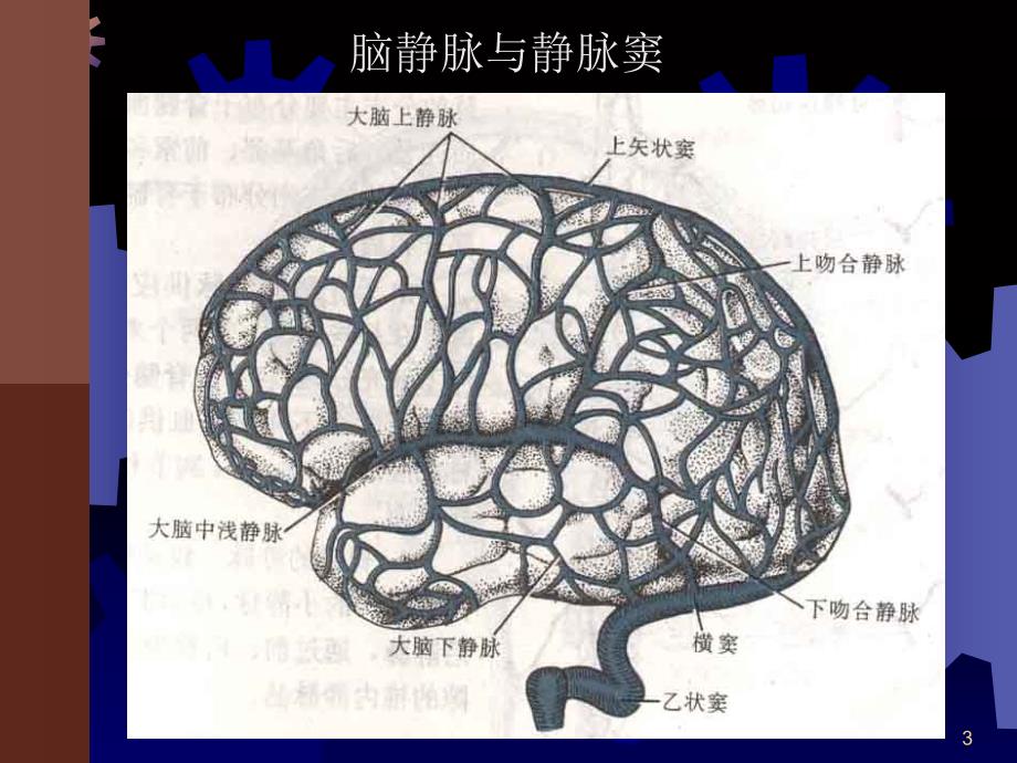 静脉窦血栓知识_第3页