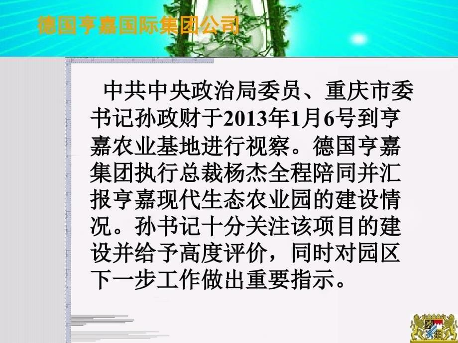 亨嘉德国风情小镇项目项目情况介绍解析_第5页