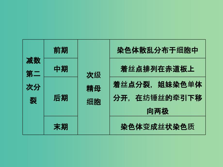 高中生物第二章基因和染色体的关系第1节减数分裂和受精作用第2课时课件新人教版.ppt_第3页