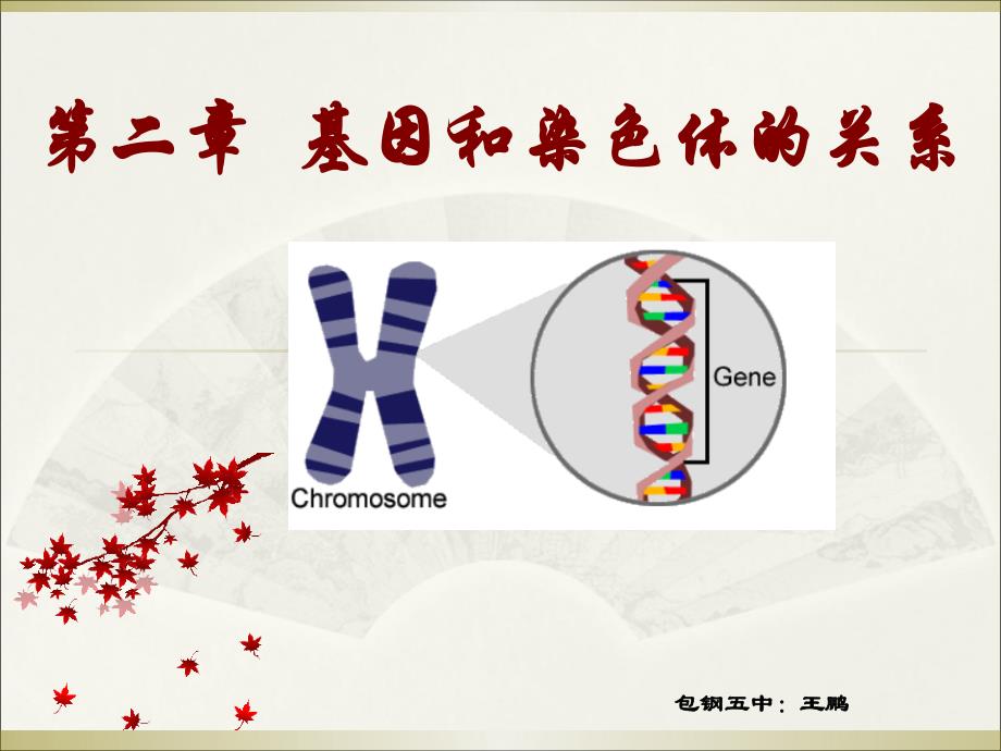 汉水丑生老师的减数分裂和受精作用课件_第1页