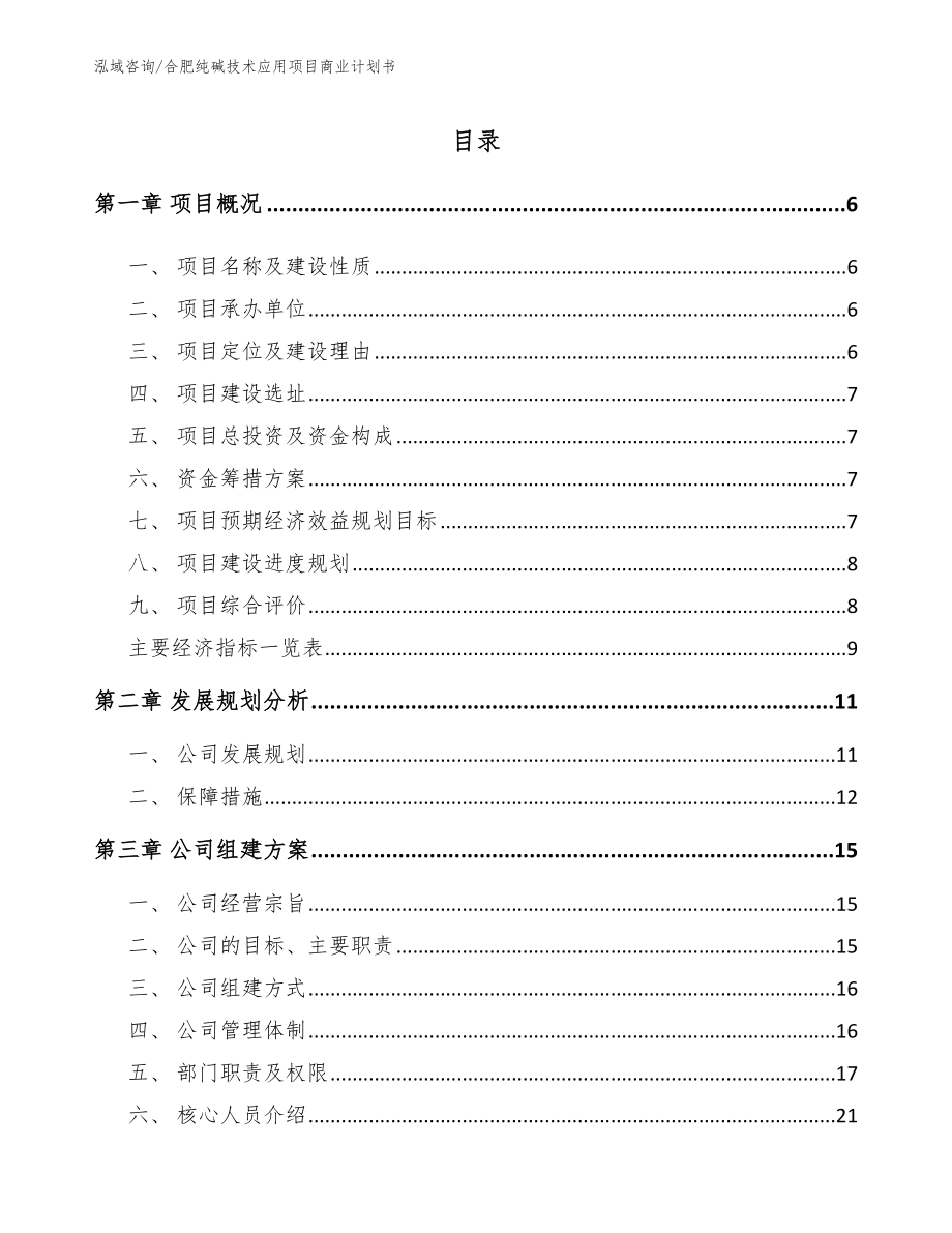 合肥纯碱技术应用项目商业计划书（范文）_第1页