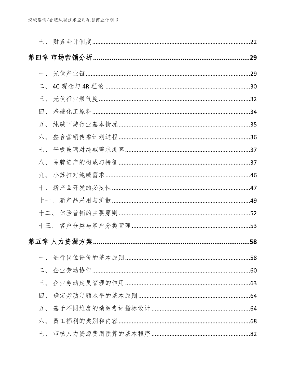 合肥纯碱技术应用项目商业计划书（范文）_第2页