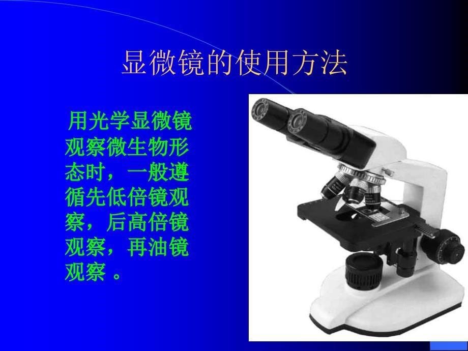 讲义5微生物基本操作规范5制片染色及显微观察_第5页