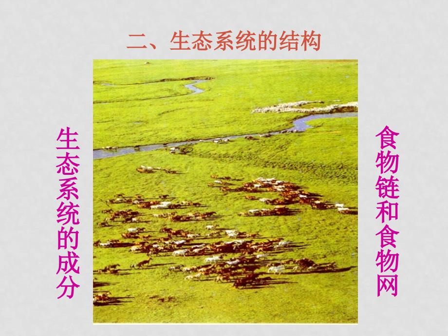 高中生物 《生态系统的结构》课件 旧人教版_第1页