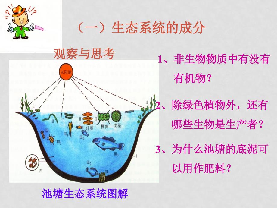 高中生物 《生态系统的结构》课件 旧人教版_第2页