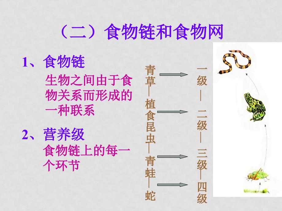 高中生物 《生态系统的结构》课件 旧人教版_第4页