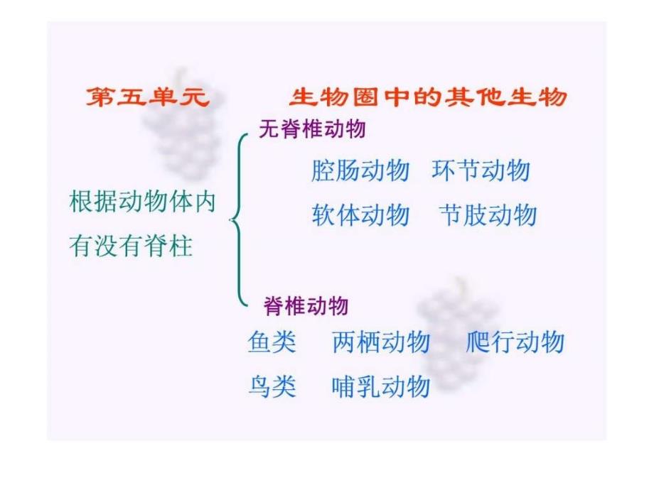 八年级生物上册总复习课件图文.ppt_第1页