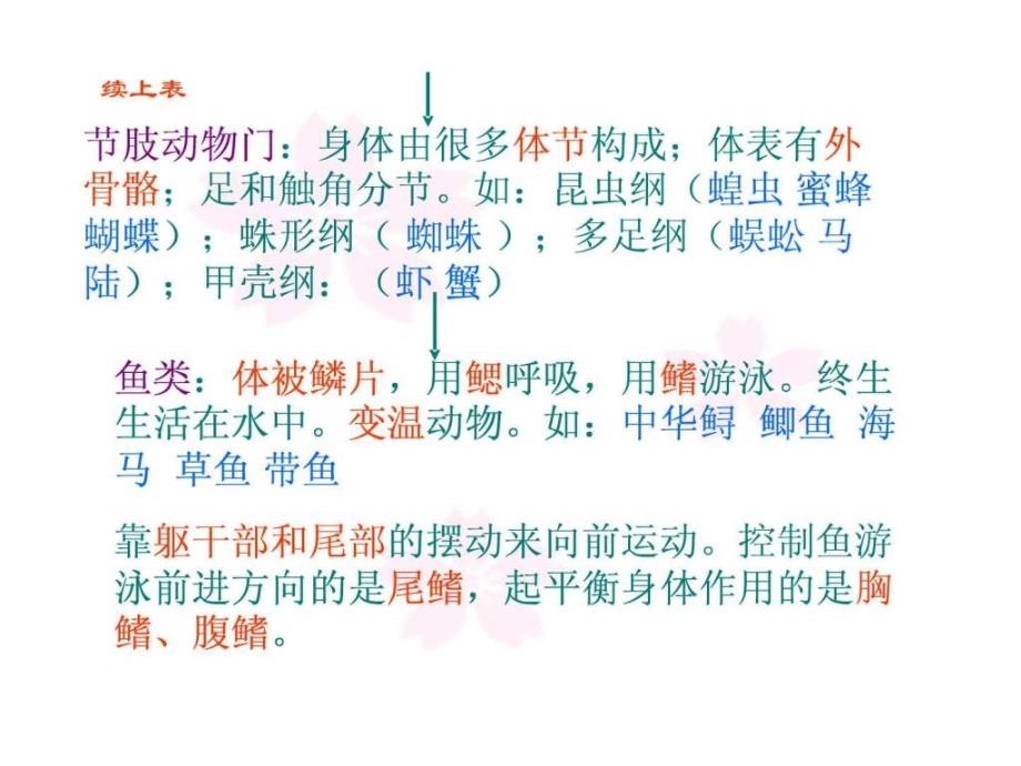 八年级生物上册总复习课件图文.ppt_第3页