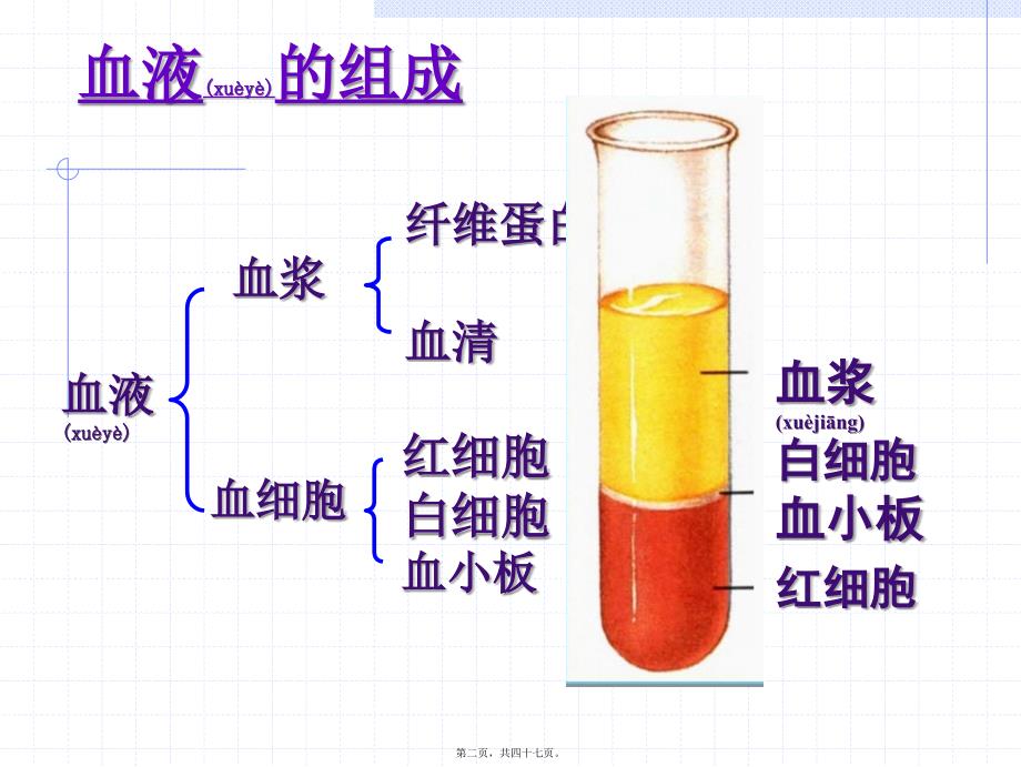 医学专题—组织胚胎学-血液及血细胞的发生_第2页