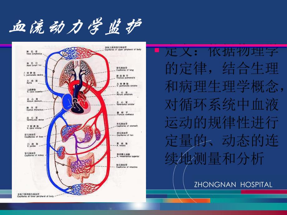 血流动力学监测动脉血压改课件_第4页