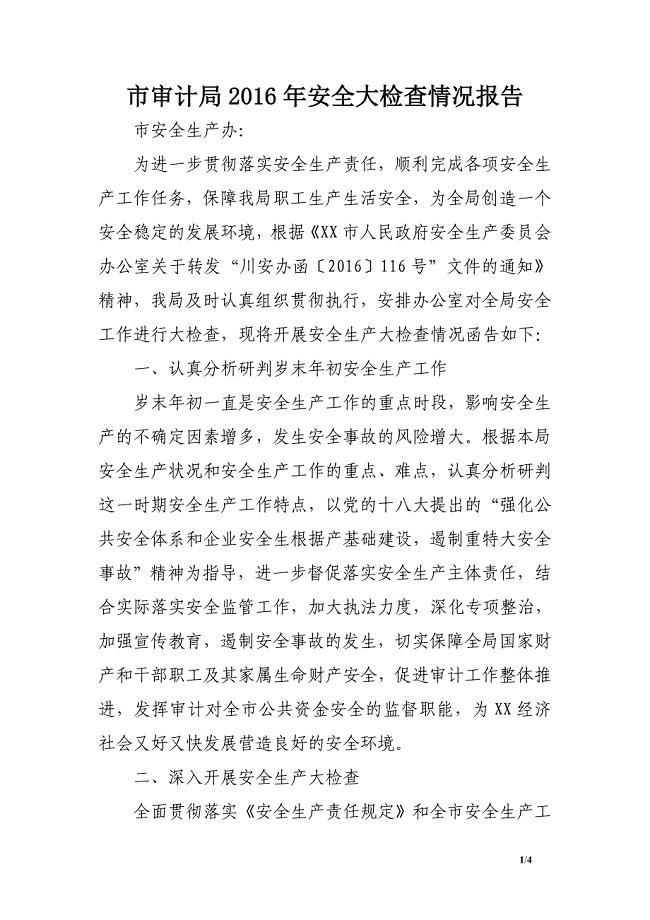 市审计局2016年安全大检查情况报告