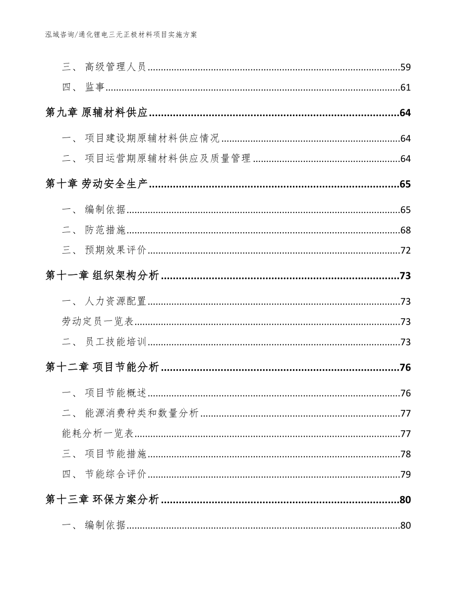 通化锂电三元正极材料项目实施方案（模板）_第4页